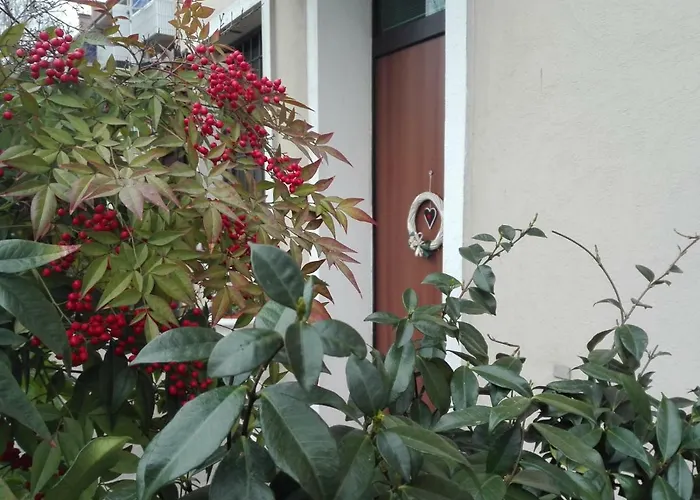 Harmony House Apartman