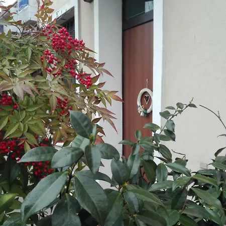 Harmony House アパート