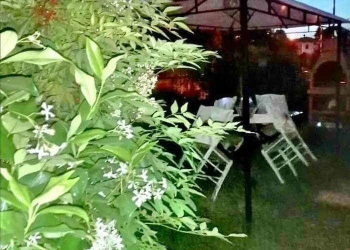 公寓 Harmony House *